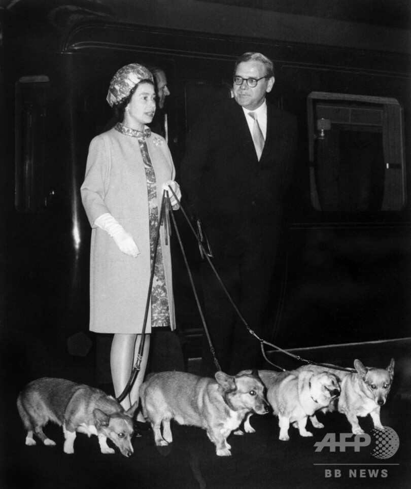 エリザベス英女王が飼育の愛犬コーギー 最後の1頭が死ぬ 写真1枚 国際ニュース Afpbb News