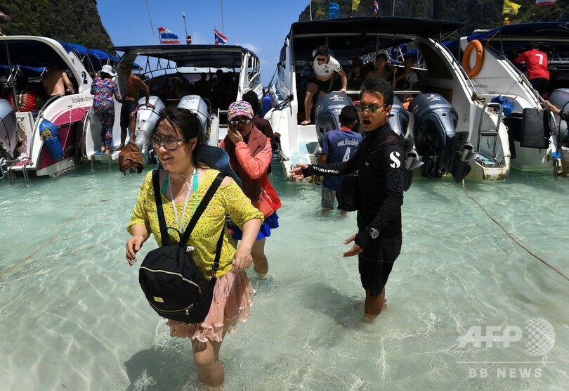 映画『ザ・ビーチ』の浜辺、無期限で閉鎖 生態系の回復図る