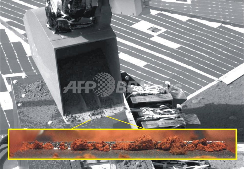 火星の土はアスパラガスがよく育つ Nasa発表 写真5枚 国際ニュース Afpbb News