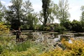 フランス印象派の巨匠クロード・モネの自宅庭園の池を掃除する庭師。仏ノルマンディー地方ジベルニーにて（2019年6月14日撮影）。(c)Ludovic MARIN / AFP