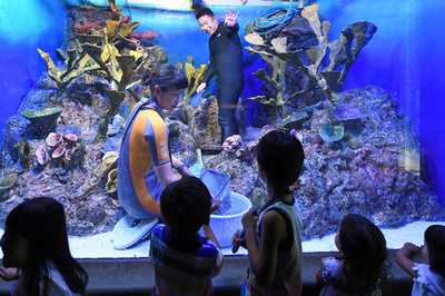 ヒト科水生生物の展示？ サンシャイン水族館で水槽の清掃作業を公開