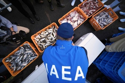 UN inspectors test Fukushima fish
