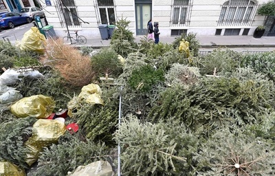 クリスマスツリーをリサイクル 市内各地に回収所 仏パリ