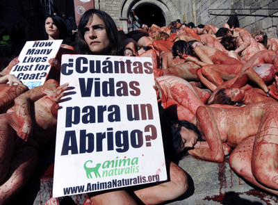 「コートのためにいくつの命を」、スペインで毛皮反対運動