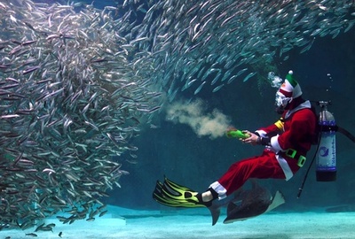 水中クリスマスショー、サンタガールのパフォーマンスも 韓国