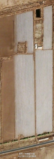 新疆ウイグル自治区マラルベシ県で綿花の「機械化」種まき始まる