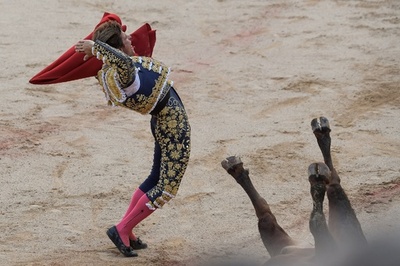 【特集】AFPのベストショット：7月2日～7月8日