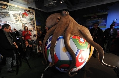 タコのパウルが水族館に「帰還」、巨大像と黄金の骨つぼ