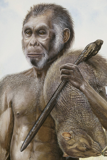 原始小型人類「ホビット」、100万年前から生息か ネイチャー誌