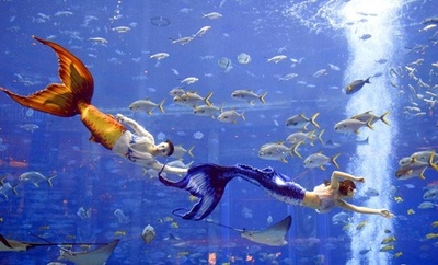 中国最強の「人魚」が海南三亜に大集合