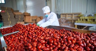 「1日3個で老けない」 中国で愛される干しナツメ