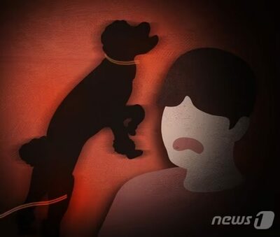 韓国・リードなし犬が突進…自転車の50代男性死亡、飼い主に実刑