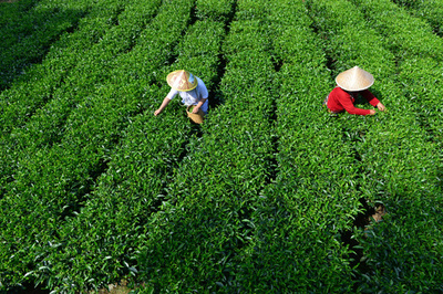 貴州省の貧困県 借金額が「歳入40年分」に 「水司楼」建設やプロジェクト失敗で