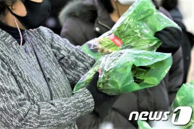 韓国の生産者物価指数、11月は0.2％下落…3カ月ぶりの下げ