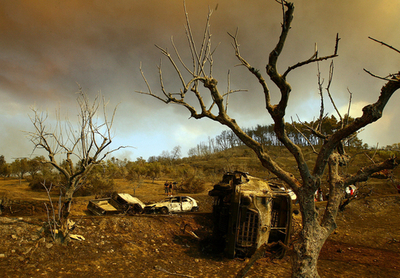 ギリシャの森林火災死者合計49人に、放火の容疑者を逮捕