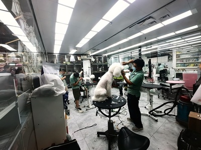 中国で進化するペット経済 各地で新たな成長分野として育成進む