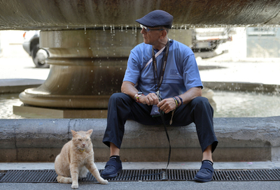 ネコとお散歩？　イタリア・ローマの噴水広場