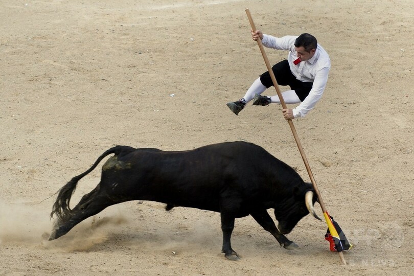 闘牛士たちの華麗な「かわし技」、コロンビア