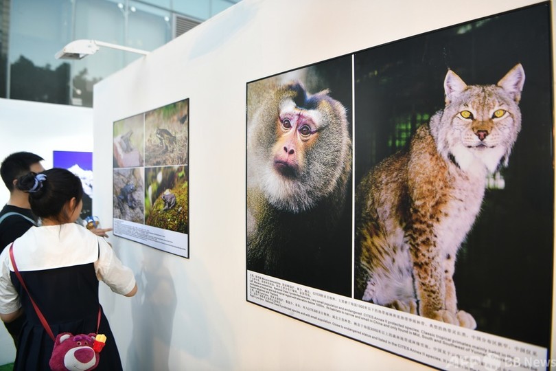 生物多様性保護への関心が高まる中国