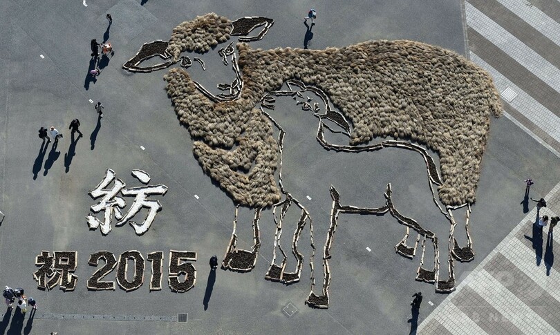 空から見てね、巨大なヒツジの地上絵 ひたち海浜公園