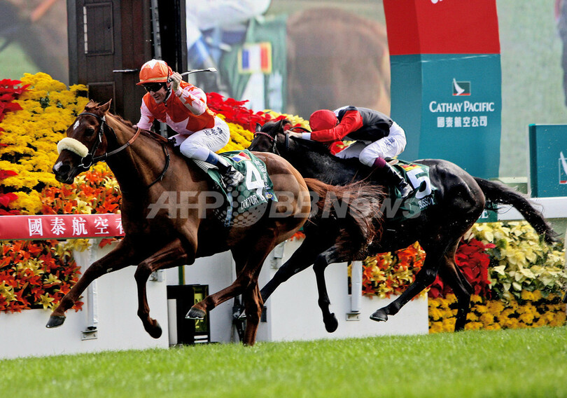 香港ヴァーズ2007 ドクターディーノが優勝