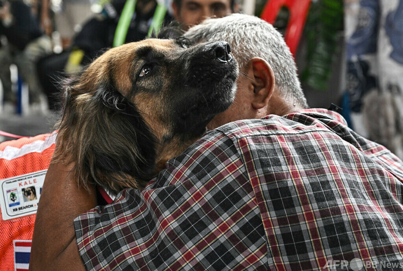 【今日の1枚】不明者家族に寄り添う救助犬、タイのビル倒壊現場で