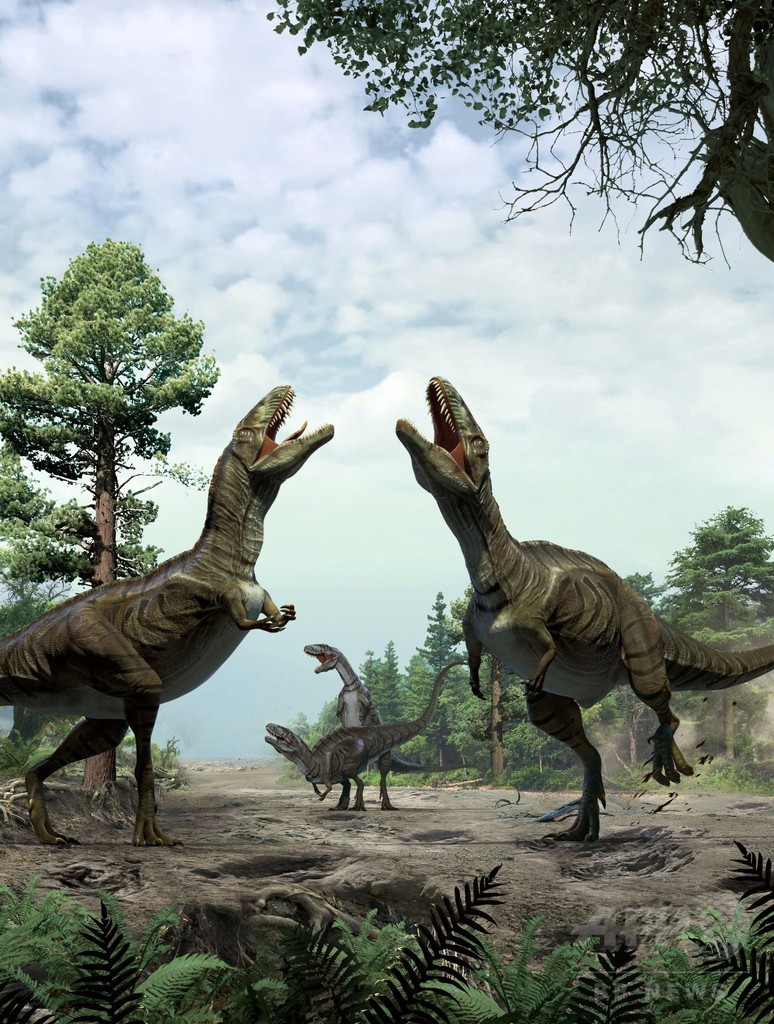 恐竜の 求愛儀式 か 白亜紀の痕跡化石を発見 写真2枚 国際ニュース Afpbb News