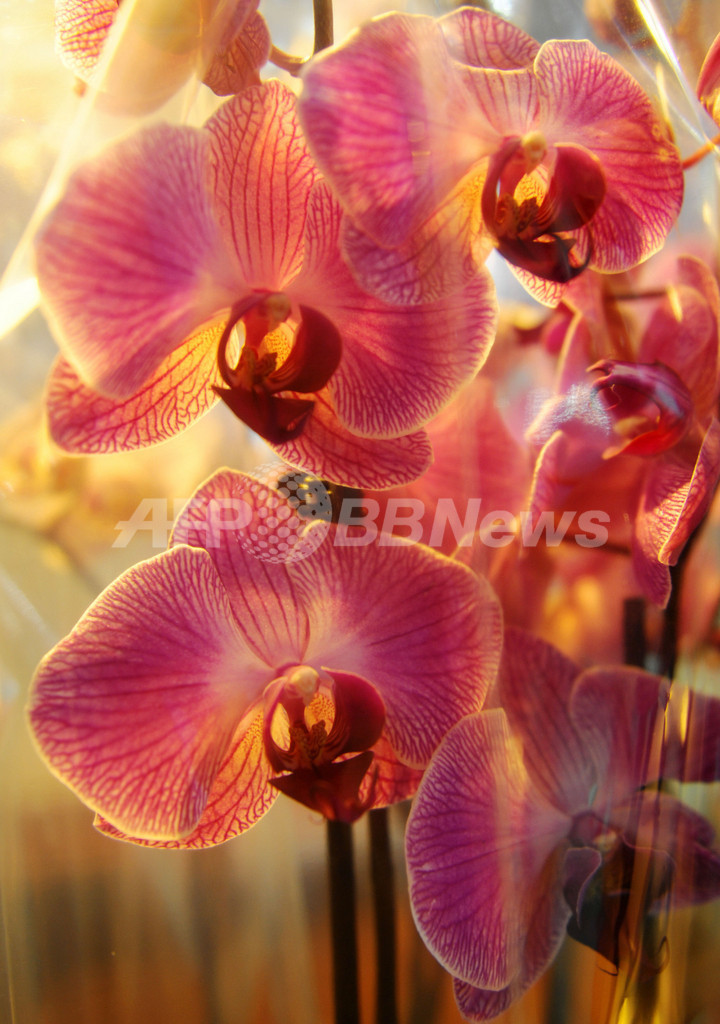 温暖化対策会議、会場入り口でデモ 環境展示会も