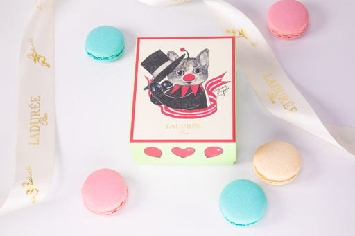 ヒグチユウコ  ラデュレ  Ladurée  限定マカロンボックス Ladurée×ヒグチユウコ 限定マカロンボックス 第2弾