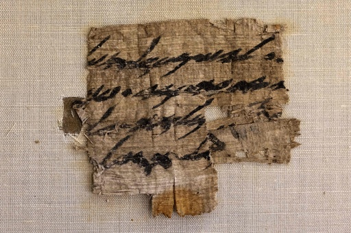 大昔のパピルス　古文書　貴重　希少　激レア　骨董　古代　考古学　民俗学　歴史 大昔のパピルス 古文書 貴重 希少 激レア 骨董 古代 考古学 民俗学 歴史