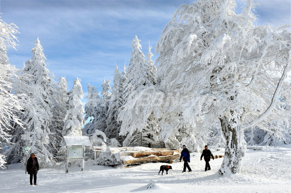 ドイツで大雪、銀世界を楽しむ人たちも 写真22枚 国際ニュース：AFPBB News