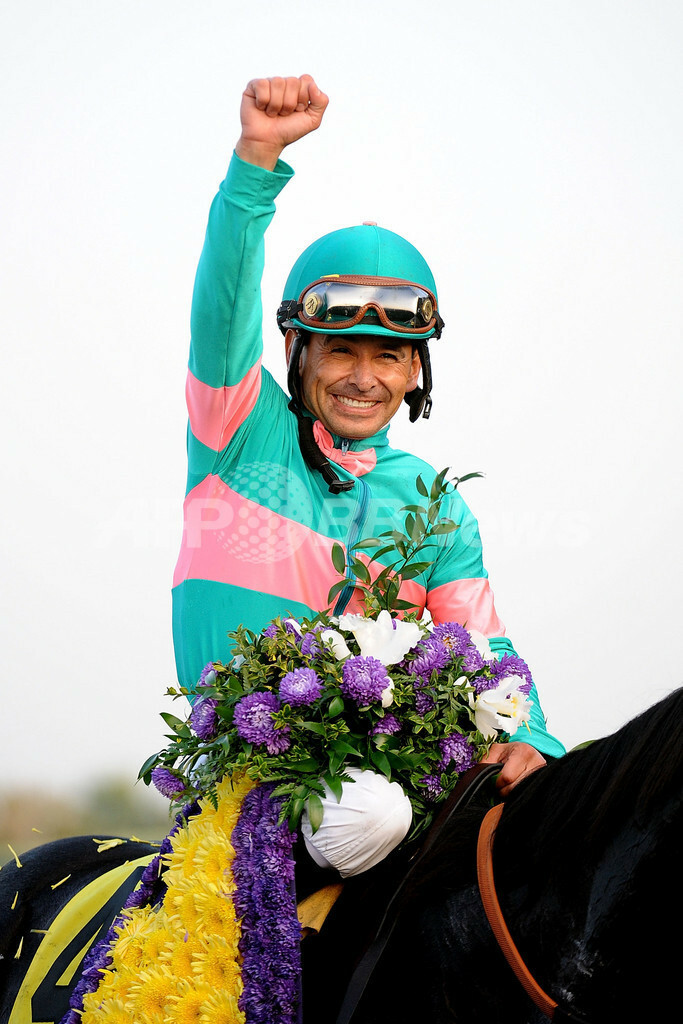ゼニヤッタが14連勝でブリーダーズカップ・クラシック制覇 写真25枚