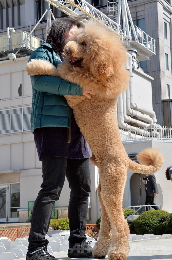犬がライオンに変身！都内デパートで記念行事