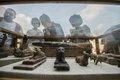 エジプトの古代都市サッカラの発掘現場で展示された、同国考古学チームが新たに発見した考古遺物（2018年11月10日撮影）。(c)KHALED DESOUKI / AFP
