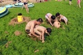 中国東部・山東（Shandong）省青島（Qingdao）の藻が大発生した海岸で遊ぶ人たち。

中国国家海洋局（State Oceanic Administration、SOA）によると、中国近海では1週間前からスジアオノリ（学名：Enteromorpha prolifera）という藻が過去最大規模で大発生しており、これまでに黄海沿岸の2万8900平方キロメートルが藻に覆いつくされた。毒性はなく水質を悪化させることもないが、大量の酸素を消費し硫化水素を生成するため、海洋生態系に極度の不均衡を生じさせる（2013年7月4日撮影）。(c)AFP