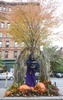 ニューヨーク（New York）市内にある家々の軒先にしつらえられたハロウィーンの飾り物（2013年10月30日撮影）。(c)AFP/Emmanuel Dunand