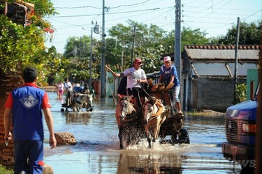 パラグアイ首都で洪水、約15万人が避難 写真10枚 国際ニュース：AFPBB News