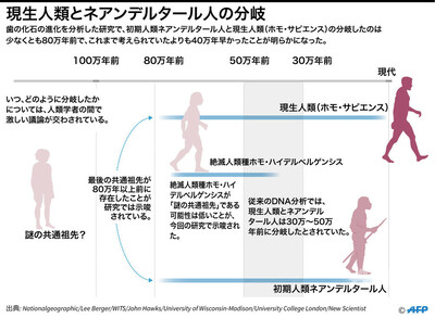 ネアンデルタール人と現生人類の分岐 従来説より約30万年早い 英研究 写真11枚 国際ニュース Afpbb News