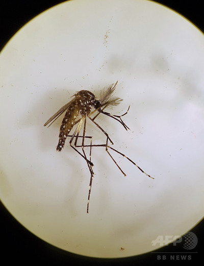 img_81d2bbb2a226659125b45af7f2