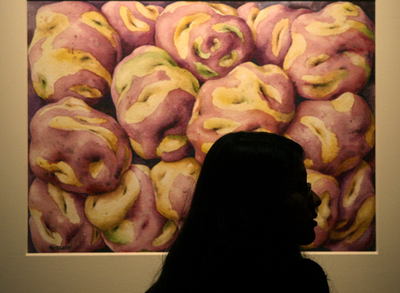 イモいろいろ、国連「国際ポテト年」記念の特別展 ペルー