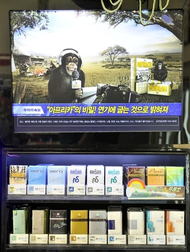 韓国社会の人種差別問題、国連が調査を開始