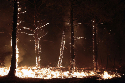 スペインで拡大する山火事、奮闘する消防隊員ら