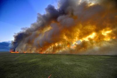 ブラジル南部の生態系保護区で大規模火災