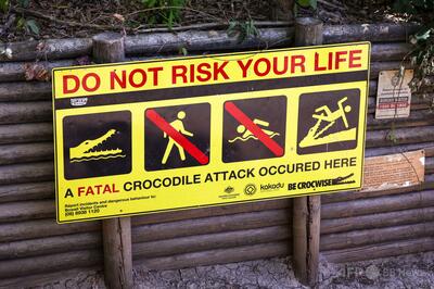 野生ワニと格闘する米インフルエンサー、オーストラリアで波紋