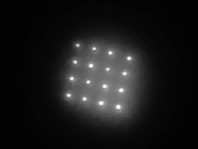 予防接種歴を皮膚下に記録、米MITが染料開発 ゲイツ財団支援