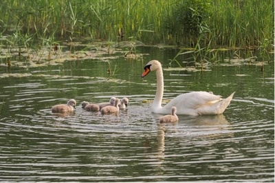 人と自然の調和と共生の新たな物語をつづる