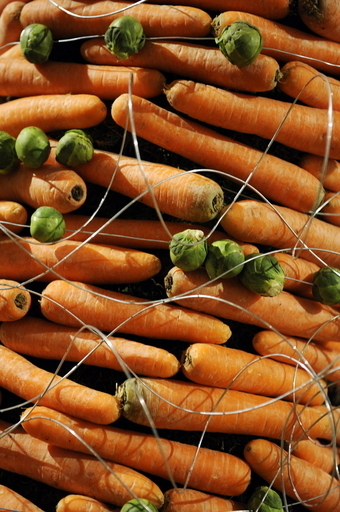 英海軍艦長、自艦への「悪魔の野菜」芽キャベツ持ち込み禁止令