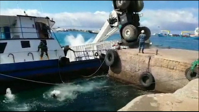 ガラパゴス諸島ではしけ沈没、燃料流出 エクアドル