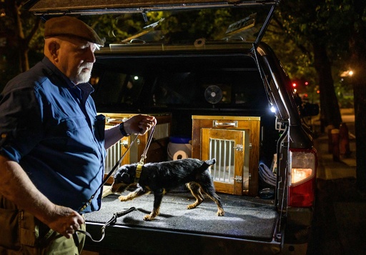 まるで X Men 特性生かし 夜のnyでネズミを狩る犬たち 写真12枚 国際ニュース Afpbb News