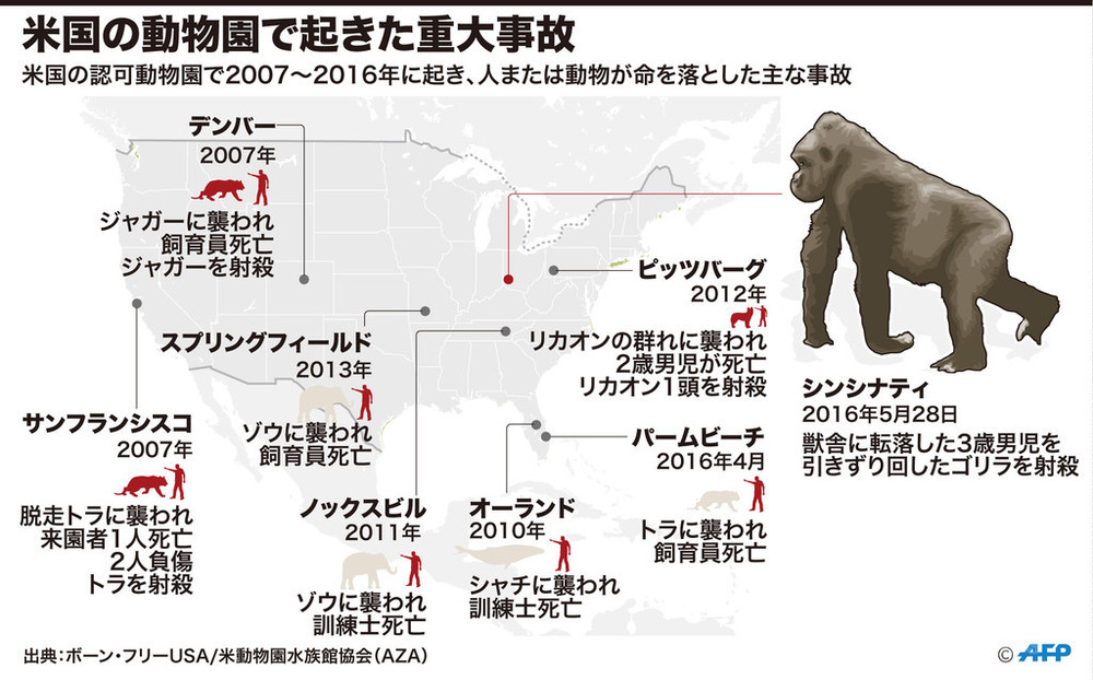 図解 米国の動物園で起きた重大事故 写真1枚 国際ニュース Afpbb News